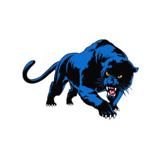 Bonnet Sticker, Universal 3D Black Panther Animal Vinyl Sticker for Cars, Blue Leopard Design, Motorcycle Trim Decor