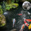 Floating Pond Guard Netting Pond Protective Net 8