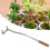 Bonsai Branch Bending Tool Professional High 11