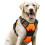 Dog Harness for Medium Dogs, Anti-Pull Dog Harness with Control, No-Pull, Adjustable Harness Orange, S 1