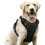Dog Harness for Medium Dogs, Anti-Pull Dog Harness with Control, No-Pull, Adjustable Harness Black, S 1
