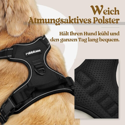 Dog Harness for Medium Dogs, Anti-Pull Dog Harness with Control, No-Pull, Adjustable Harness Black, M 2