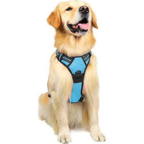 Dog Harness for Medium Dogs, Anti-Pull Dog Harness with Control, No-Pull, Adjustable Harness Blue, S