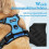 Dog Harness for Medium Dogs, Anti-Pull Dog Harness with Control, No-Pull, Adjustable Harness Blue, S 3