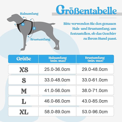 Dog Harness for Medium Dogs, Anti-Pull Dog Harness with Control, No-Pull, Adjustable Harness Blue, XL 1