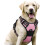 Dog Harness for Medium Dogs, Anti-Pull Dog Harness with Control, No-Pull, Adjustable Harness Pink, XL 1