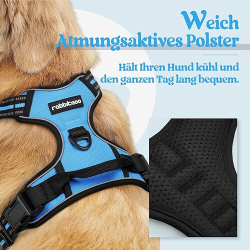Dog Harness for Medium Dogs, Anti-Pull Dog Harness with Control, No-Pull, Adjustable Harness Blue, M 2