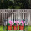 Warm Plastic Film Small Warm House Outer Cover 14