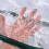 Warm Plastic Film Small Warm House Outer Cover 4