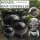 3pcs Plant Rooting Sphere Graft Rooting Growing 3