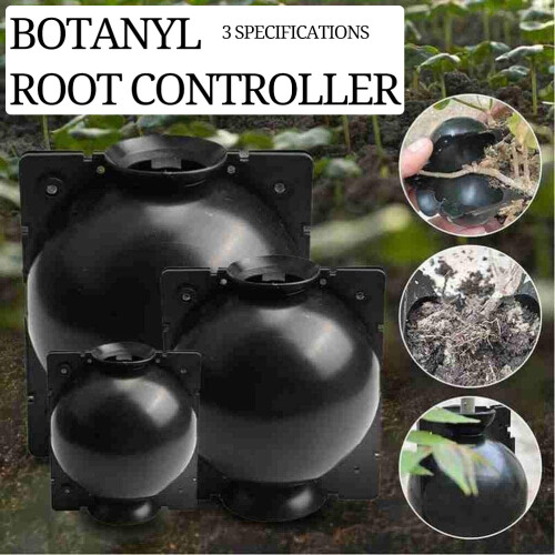 3pcs Plant Rooting Sphere Graft Rooting Growing 2