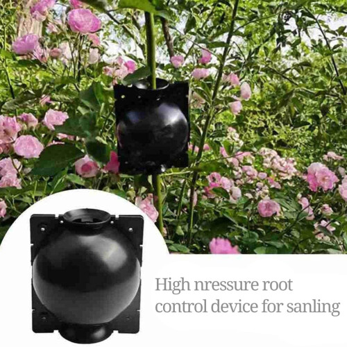 3pcs Plant Rooting Sphere Graft Rooting Growing 1