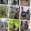 3pcs Plant Rooting Sphere Graft Rooting Growing 8