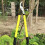 High Branch Cutter Steel Telescopic Trigger Bypass 12