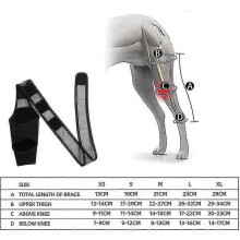 (M) Dog Knee Brace Dog Leg Brace For Torn Acl Hind Leg Dog Hip Support Brace For Luxating Patella Better Recovery With Dog Acl Knee Brace