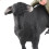 Spanish Bullfighting Model Collectible 15
