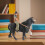 Spanish Bullfighting Model Collectible 10