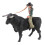 Spanish Bullfighting Model Collectible 6