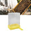 Bee Drinking Nest Large Capacity Cubic Style Safe 12