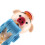 21cm Lollipop Storage Case Cute Animal Shaped 7