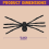 Spider web decoration 6.6FT Hairy Giant Spider Halloween 2