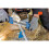 (A) LINJOU Chainsaw sharpener CHAIN SHARP CS-X, file  5.5 mm, for sharpening teeth and depth gauge in one operation 5