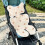 Soft Baby Stroller Seat Cushion Breathable Pure 8