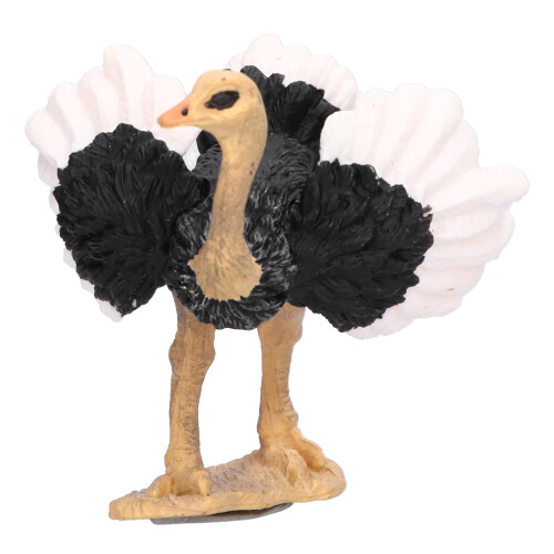 Straußmodell PVC Wildtier-Tierfigur Sammlung Bildungsrequisite 1