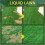 2 Pack Lawn Liquid Home Garden Courtyard Lawn 11