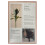 L'Anza L'Anza 2025 Healing Volume Set - Shampoo, Conditioner + Gel 2
