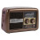 Portable AM FM SW Radio with Bluetooth Speaker 2