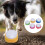 5Pcs Pet Training Buzzer Voice Recording Dog Cat 13