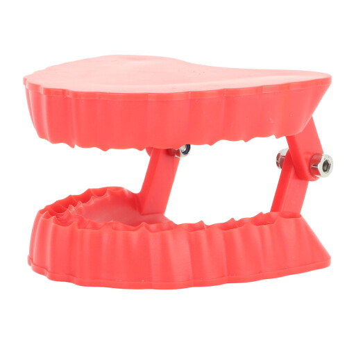 Denture Drill Bit Holder Denture Screwdriver 1