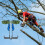 Tree Climbing Tool Set 100kg Load Capacity 2
