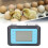 Incubator Controller Fully Automatic Digital 11