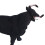 Riding Figurine Cowboy Model Spanish Bullfighting 13