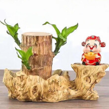 Brazilian Wood Tray Resin Flowerpot Tabletop Decoration Plant Pot Bottom Ornaments Flye255728