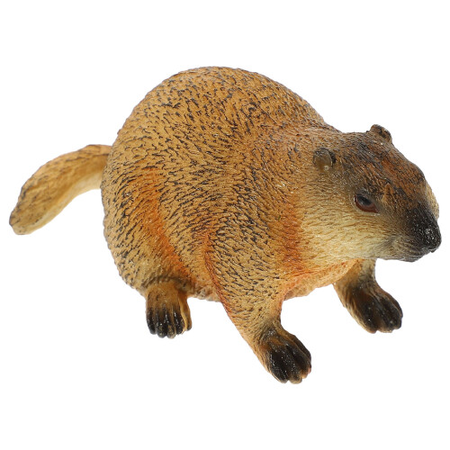 5Pcs Plastic Groundhog Models Realistic Desktop Decoration 2