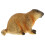 5Pcs Plastic Groundhog Models Realistic Desktop Decoration 1
