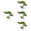 4pcs Welcome Song Plastic Desktop Potted Plant 8