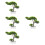 4pcs Welcome Song Plastic Desktop Potted Plant 9