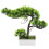 4pcs Welcome Song Plastic Desktop Potted Plant 1