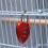 Suitcase Locks Security Luggage Locks Multi Zinc 1pcs 8