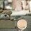 2 Pcs Kid Ornaments And Decorations 4.50x4.50x2.50cm Khaki 4