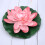 Fake Floating Water Lily Flower Decor Eva 1set 11