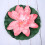 Fake Floating Water Lily Flower Decor Eva 1set 7