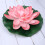 Fake Floating Water Lily Flower Decor Eva 1set 8