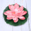 Fake Floating Water Lily Flower Decor Eva 1set 6