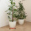 1Pc Movable Plastic Plant Pot Tray With Wheels Round Shape 11