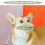 Muzzle For Muzzle Light Green Prevents Biting For Corgi 1pcs 7